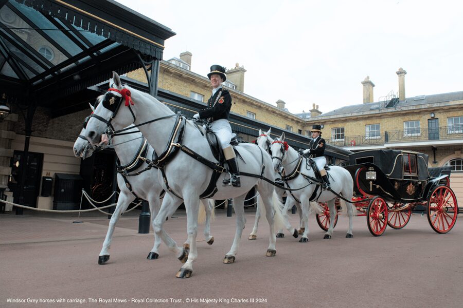 London: Royal Walking Tour with Guard Change & Royal Mews - What the guide adds to the experience