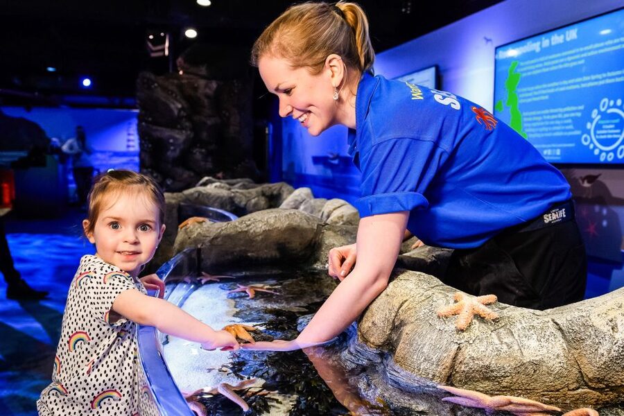 London: SEA LIFE Entry Ticket - Starting with tropical fish and open ocean views
