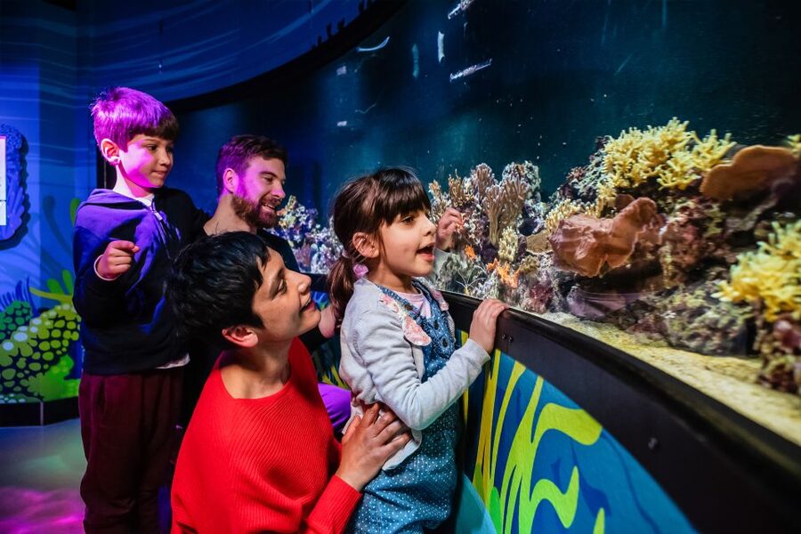 London: SEA LIFE Entry Ticket - Interactive features keep the route moving