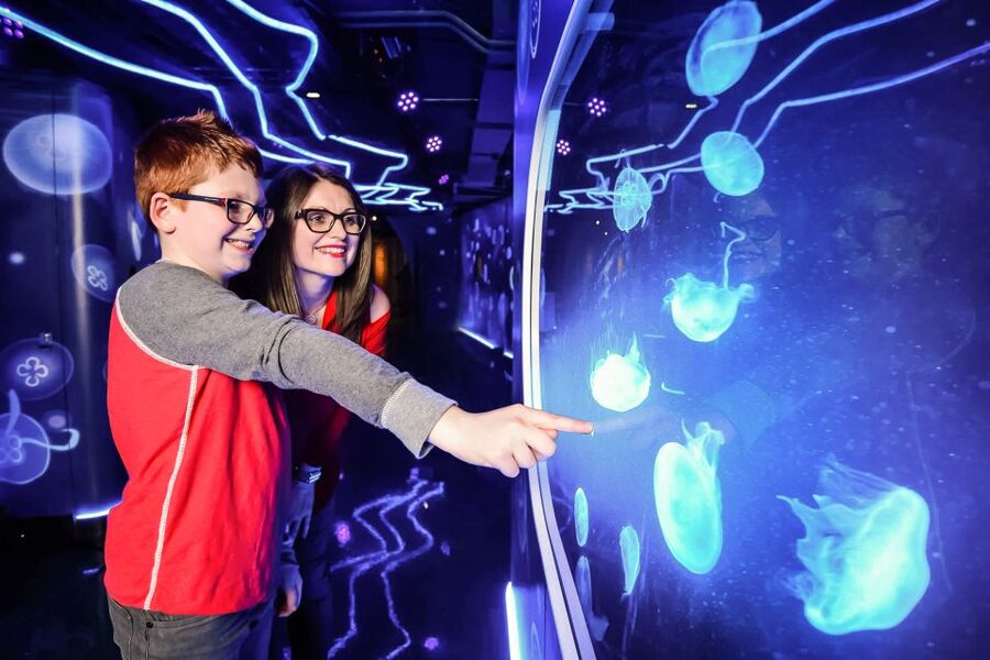 London: SEA LIFE Entry Ticket - Timing, tickets, and access
