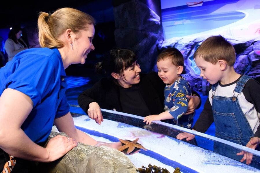 London: SEA LIFE & London Eye Combo Ticket - Walking to the London Eye