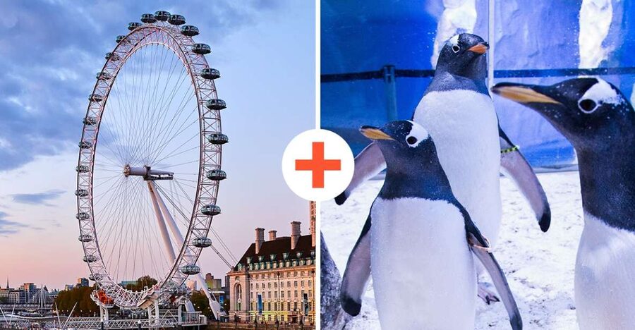 London: SEA LIFE & London Eye Combo Ticket - Choosing the best London Eye time