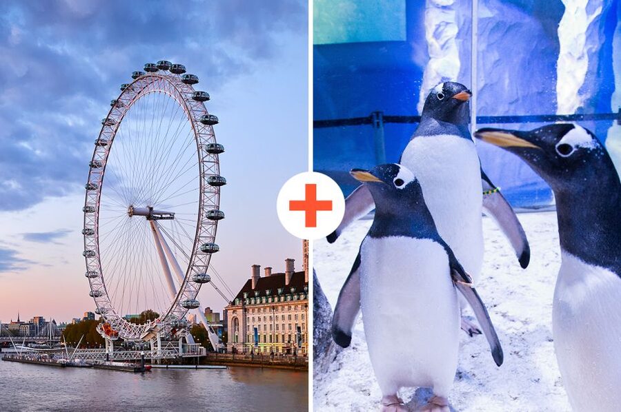 London: SEA LIFE & London Eye Combo Ticket - Inside SEA LIFE London’s three floors