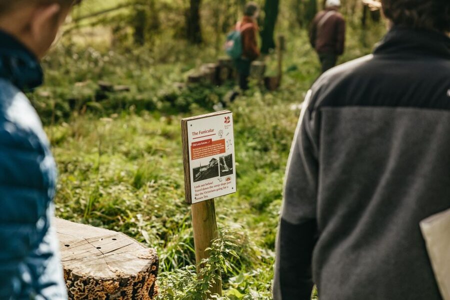 London: South Downs White Cliffs Day Trip with Train Tickets - Key points at a glance