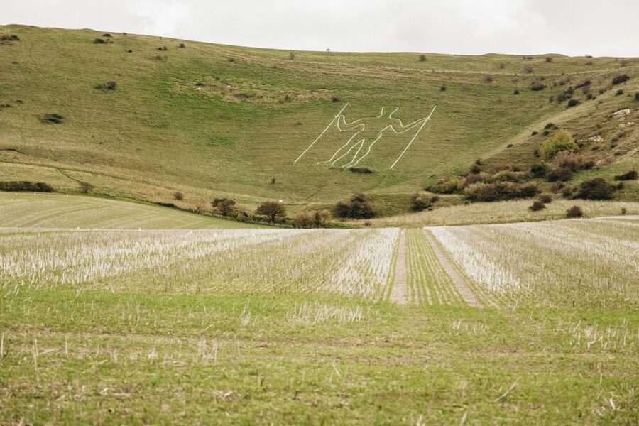London: South Downs White Cliffs Day Trip with Train Tickets - Devil’s Dyke and the South Downs