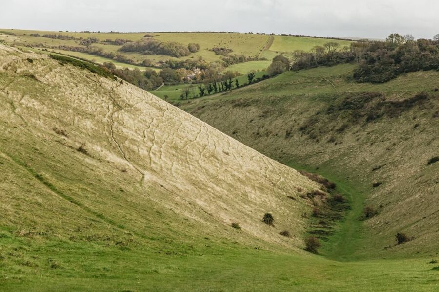 London: South Downs White Cliffs Day Trip with Train Tickets - London Bridge to Brighton: a simple start