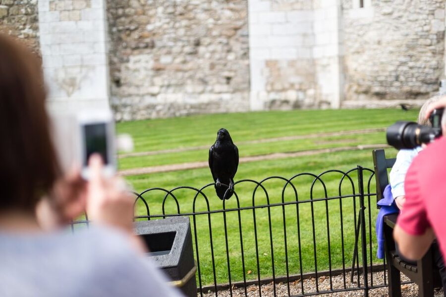 London: Tower of London Tour with Crown Jewels & Beefeaters - Why a guided Tower of London visit helps