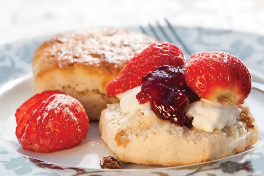 London Vintage Bus Tour and Cream Tea at Harrods - Who will enjoy this London combination?