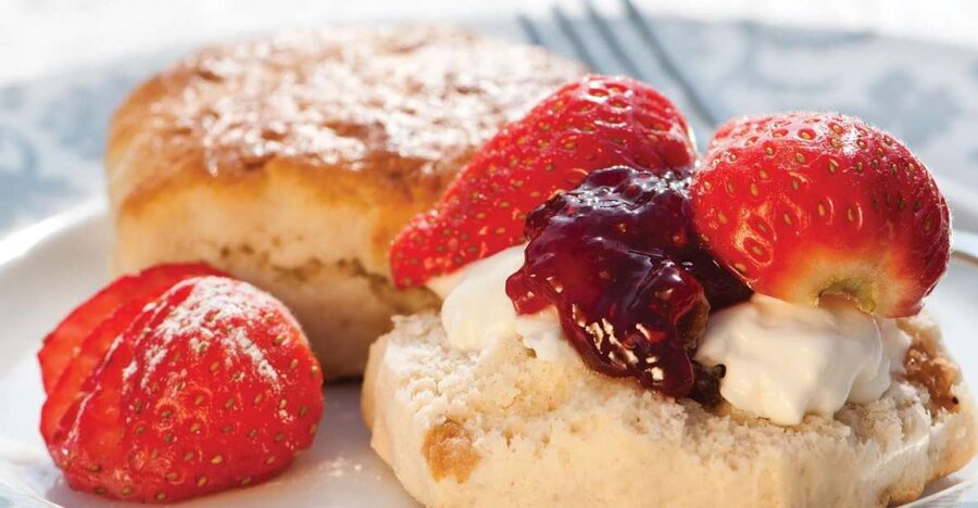 London Vintage Bus Tour and Cream Tea at Harrods - Timing, comfort, and practical details
