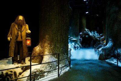 Warner Bros. Studio Tour with Return Transportation