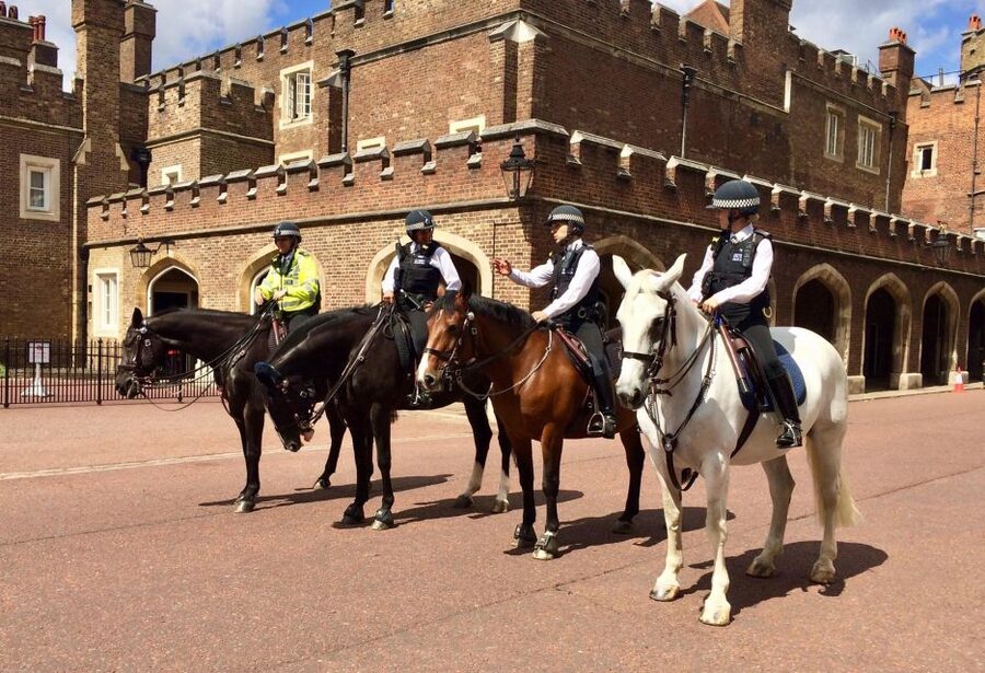 London: Westminster Tour and Churchill War Rooms Visit - Buckingham Palace and the royal route