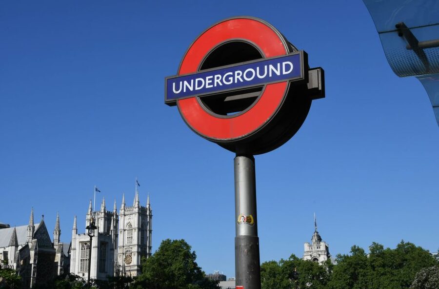 London: Westminster Walking Tour & The Tower of London Entry - Key points to know before booking