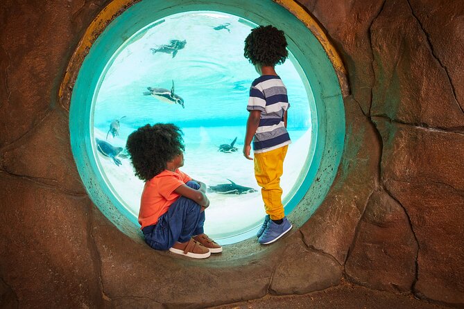 London Zoo Entry Ticket - Penguin Beach and Tiny Giants
