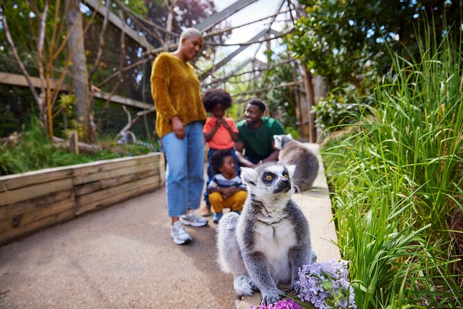 London Zoo: Entry Ticket - Start with Land of the Lions