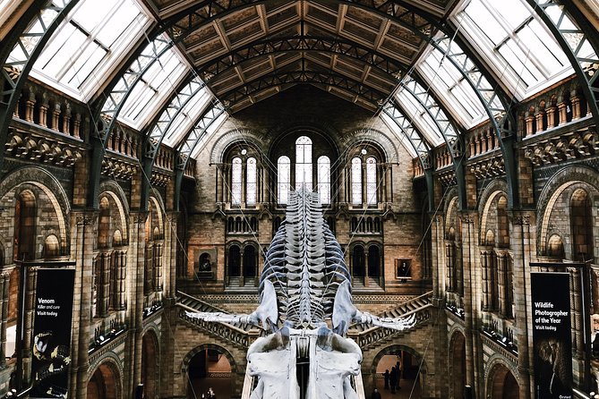 Natural History Museum London - Exclusive Guided Museum Tour - Why this museum needs a plan