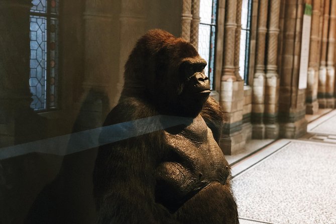 Natural History Museum London - Exclusive Guided Museum Tour - From Earth’s origins to dinosaur extinction