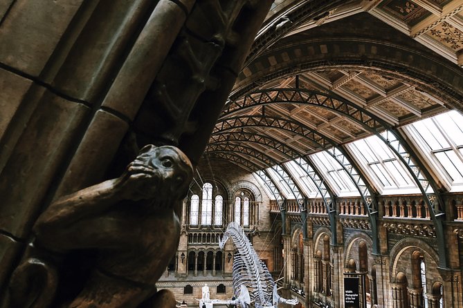 Natural History Museum London - Exclusive Guided Museum Tour - Archaeopteryx and the evidence for evolution