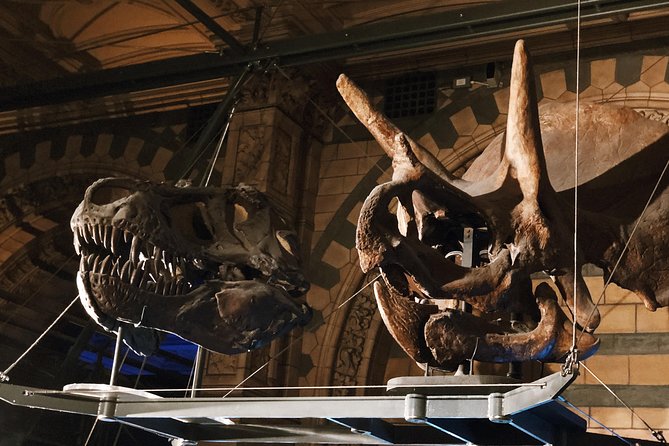 Natural History Museum London - Exclusive Guided Museum Tour - Cursed gemstones and the museum’s unusual objects