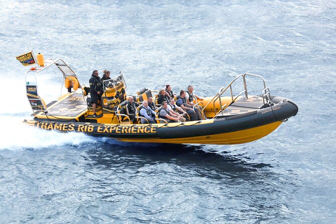 PRIVATE HIRE 45 min Speedboat Tour - Embankment/Westminster Pier - Why a Thames RIB changes your view of London