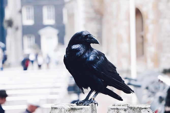 Private Tour London Highlights, entries Westminster Abbey, The Tower of London - Buckingham Palace and St. James’s Park: royal pageantry outdoors