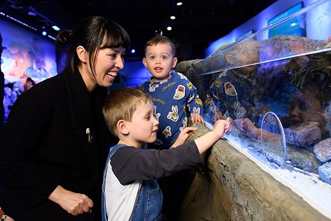 SEA LIFE London Aquarium Admission Ticket - SEA LIFE London Aquarium at a glance