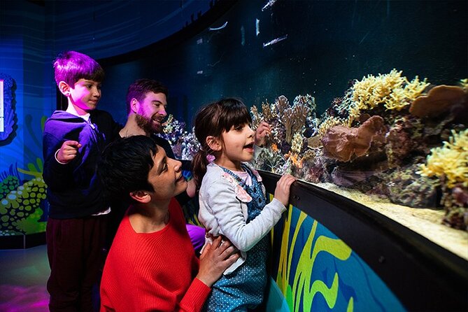 SEA LIFE London Aquarium Admission Ticket - Rainforest Adventure and Amazon creatures