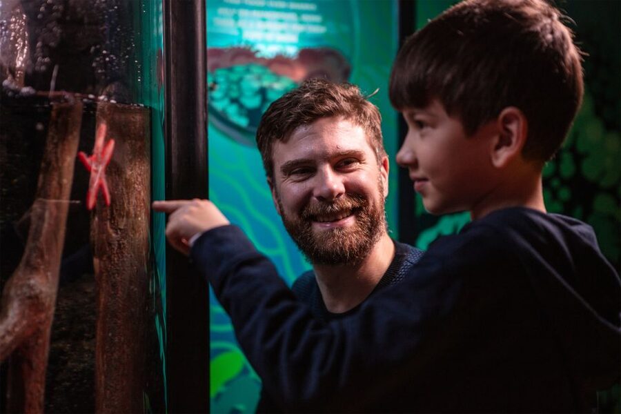 SEA LIFE London & DreamWorks Shrek's Adventure: Combo Ticket - Key points at a glance