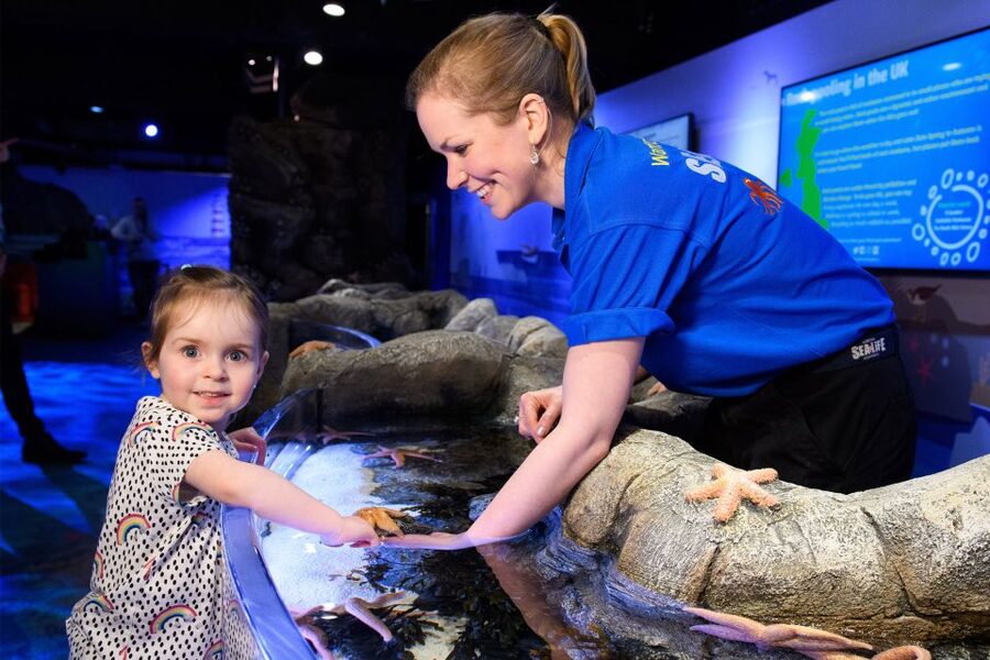 SEA LIFE London & DreamWorks Shrek's Adventure: Combo Ticket - A sensible plan for your day