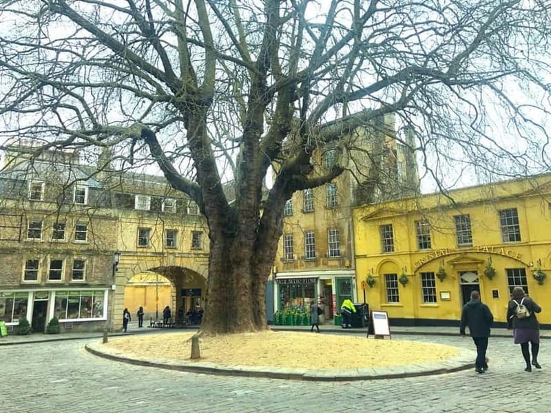 Stonehenge, Bath, Windsor and Roman Baths London Day Tours - Practical tips for a smoother day